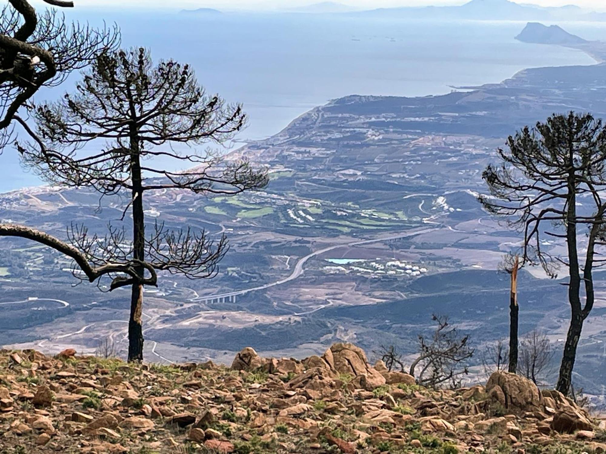 Superior Apartment For Golf, Sea And Nature Lovers Casares Exteriör bild